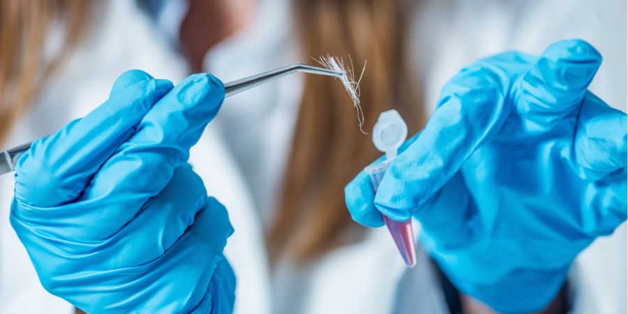 o que faz um perito criminal o que faz um perito criminal